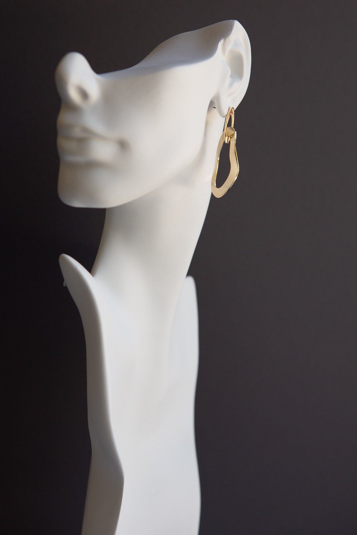 Irregular Shaped Interlocking Rings Drop Earrings - Wynter Bloom