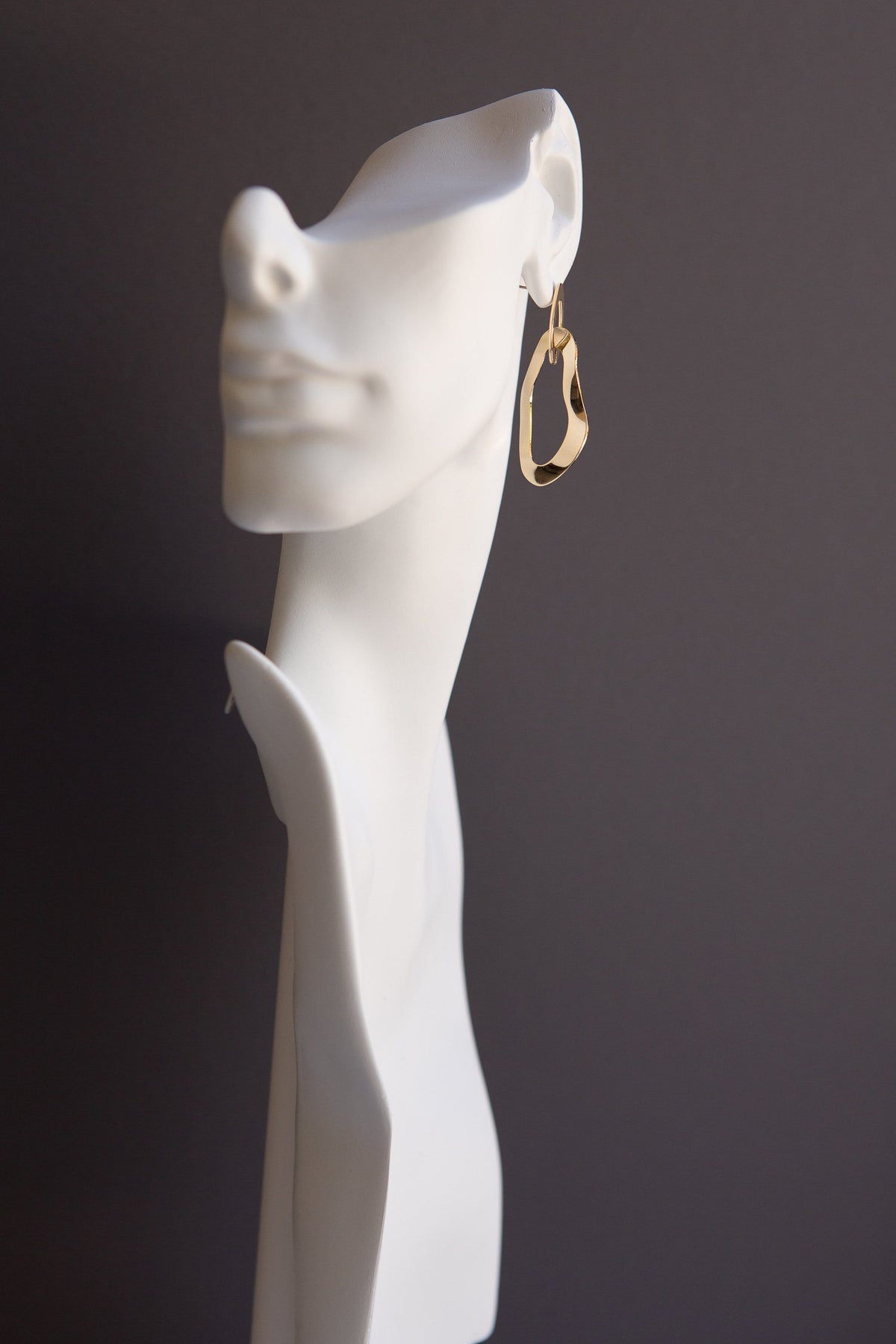 Irregular Shaped Interlocking Rings Drop Earrings - Wynter Bloom