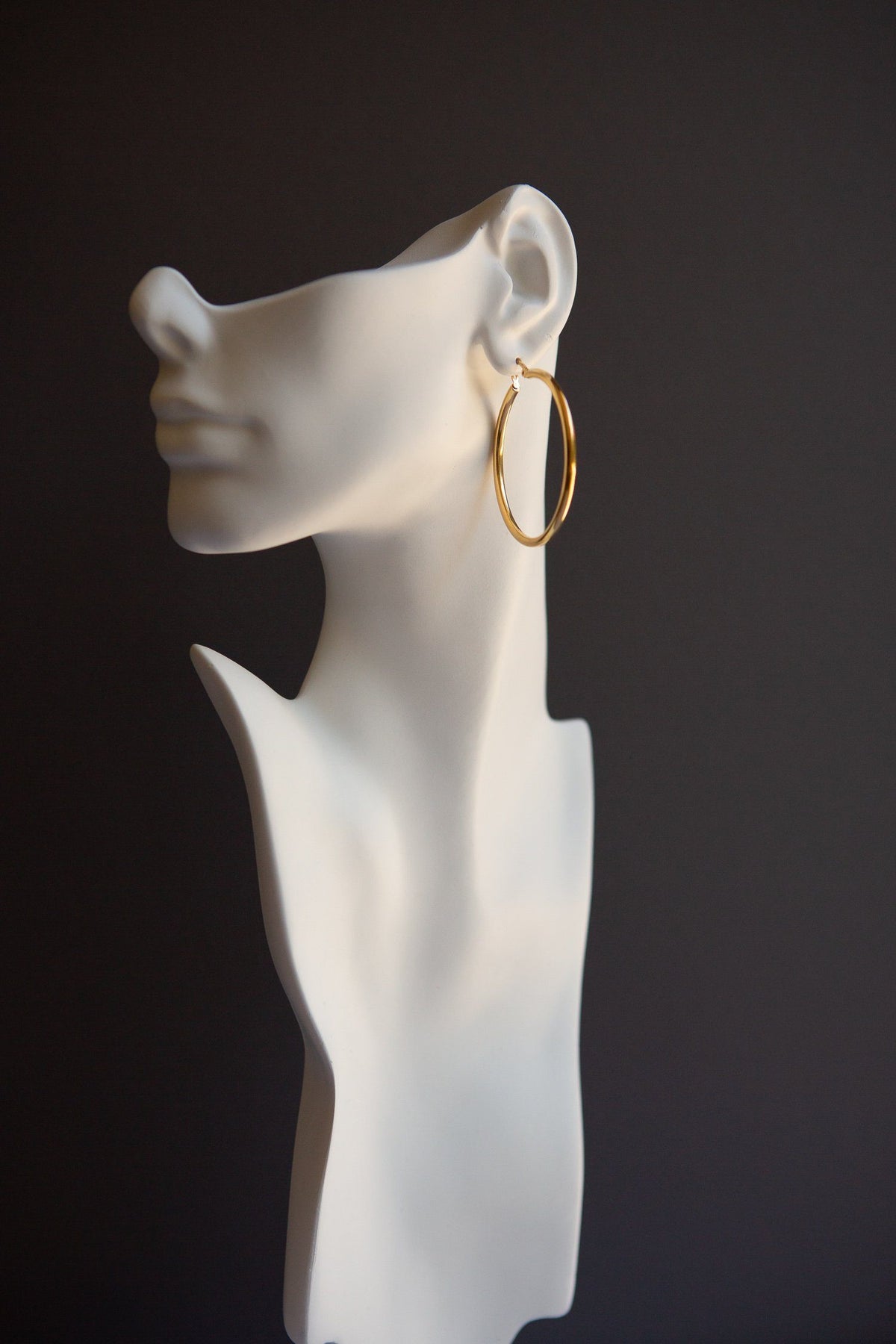 Classic Large Latch Back Gold Hoop Earrings - Wynter Bloom