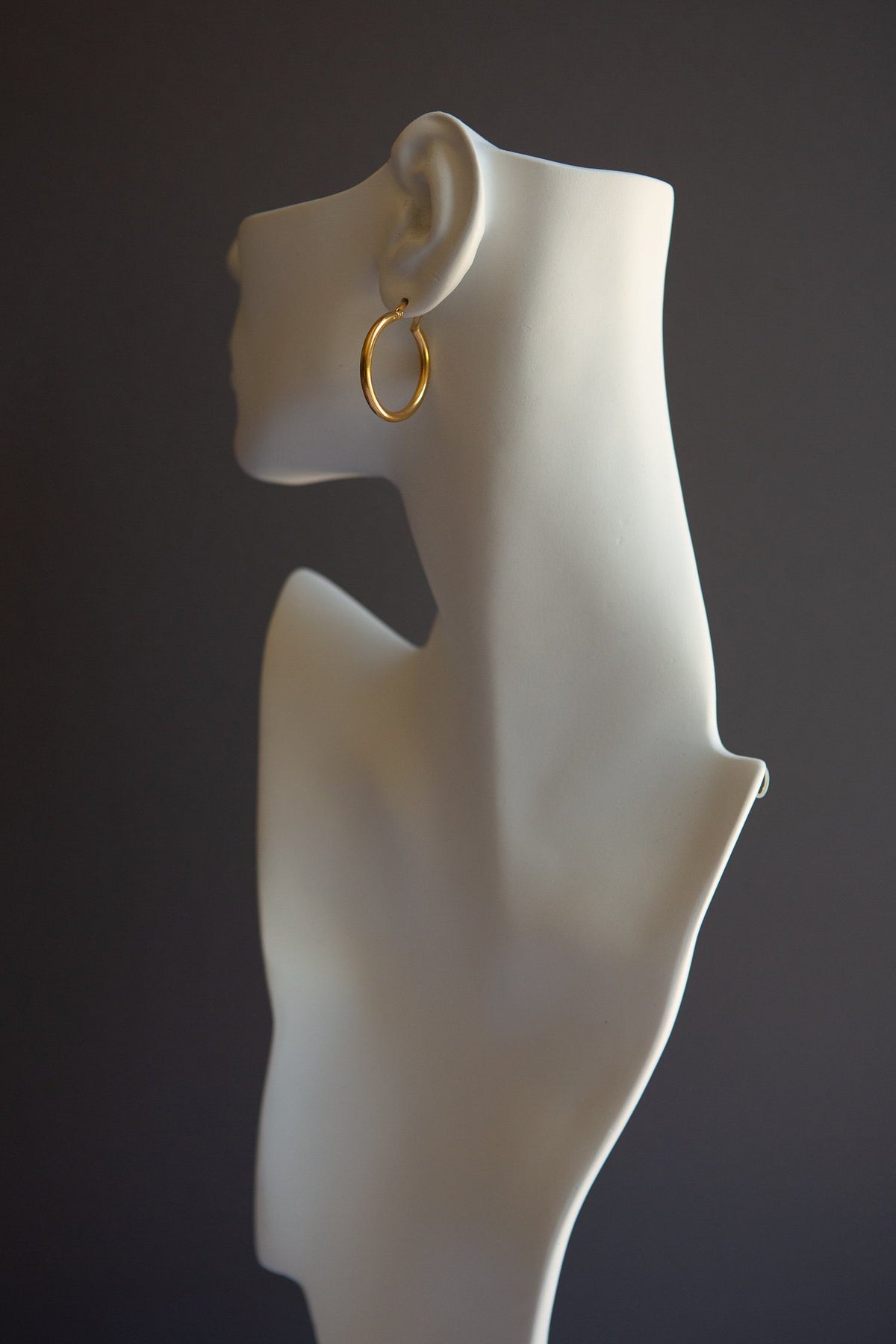 Classic Small Latch Back Gold Hoop Earrings - Wynter Bloom