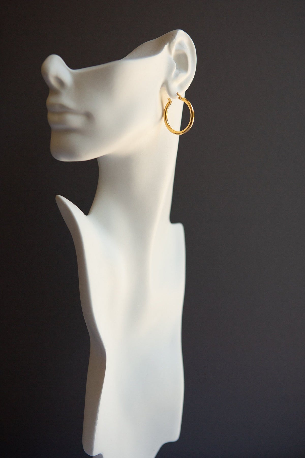 Classic Small Latch Back Gold Hoop Earrings - Wynter Bloom