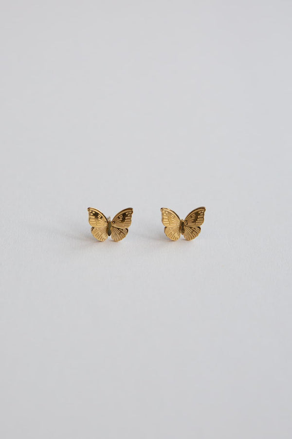 Gold Butterfly Stud Earrings - Wynter Bloom