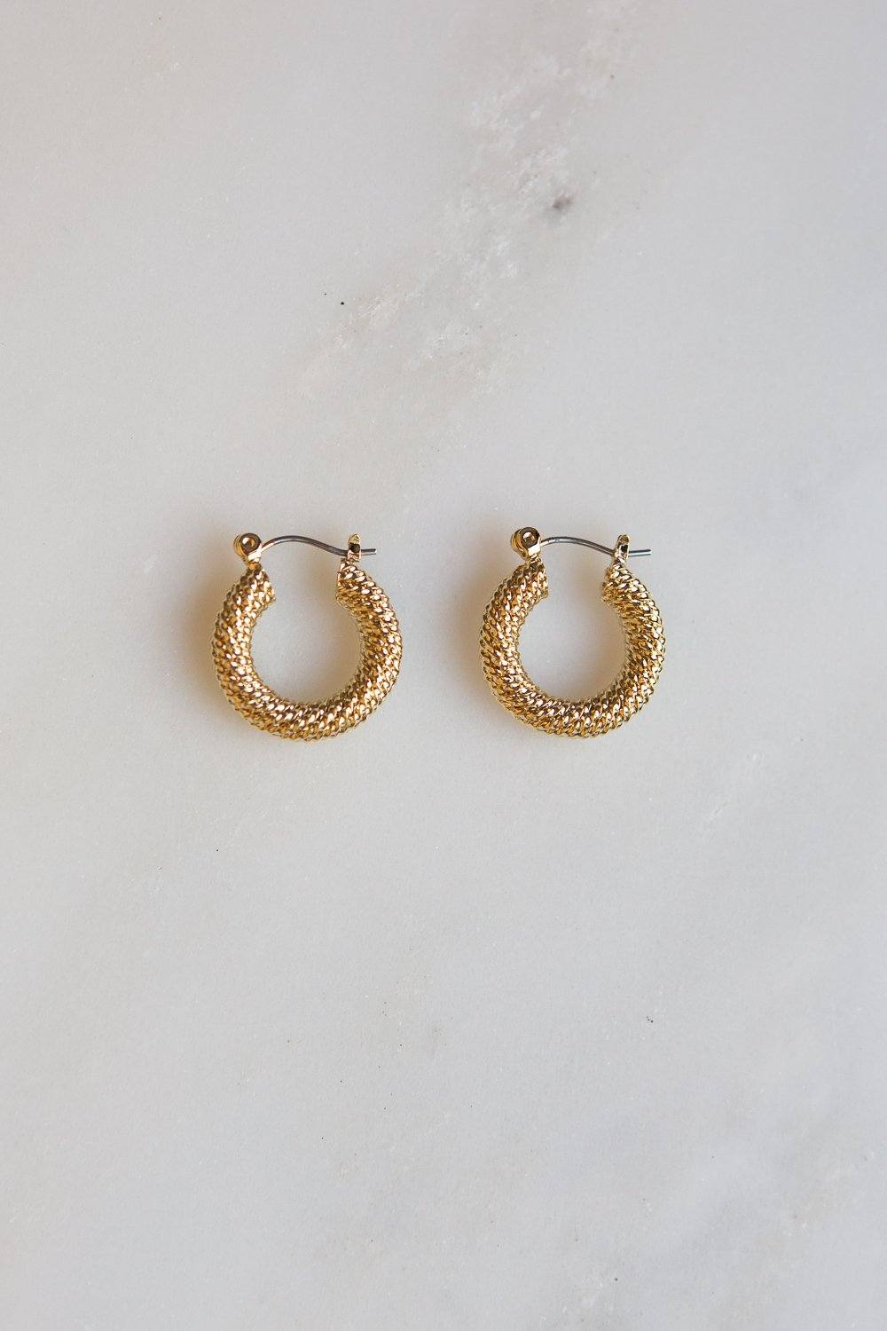 Braided Twist Hoop Earrings (Gold) - Wynter Bloom