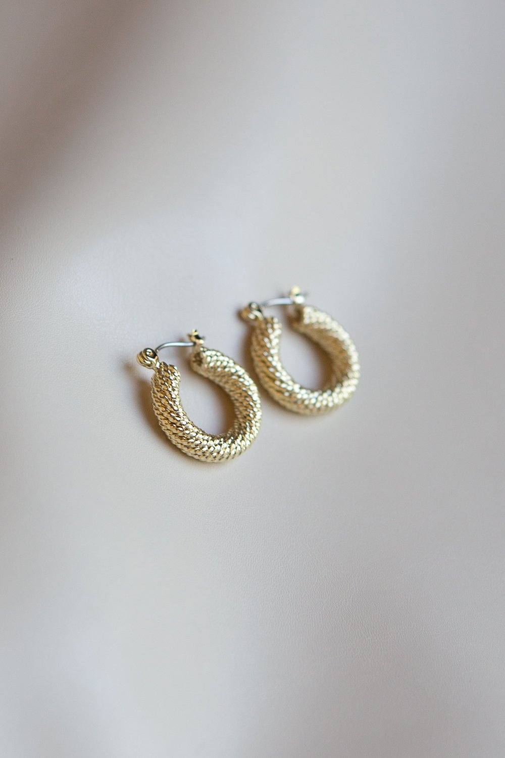 Braided Twist Hoop Earrings (Gold) - Wynter Bloom