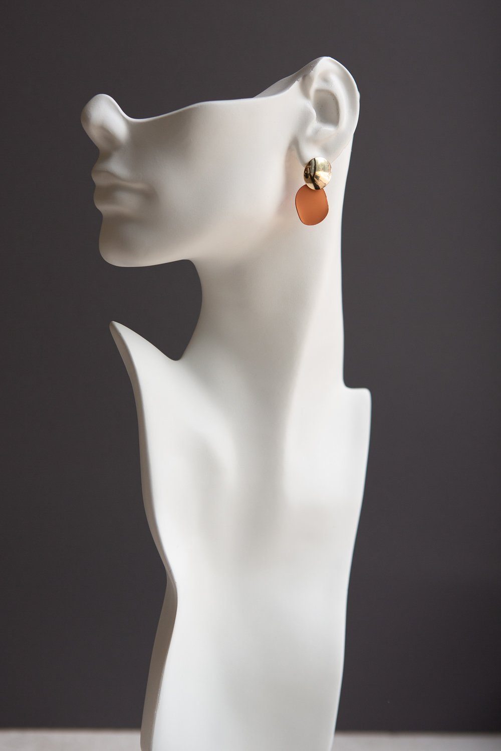 Brown and Gold Disc Earrings - Wynter Bloom