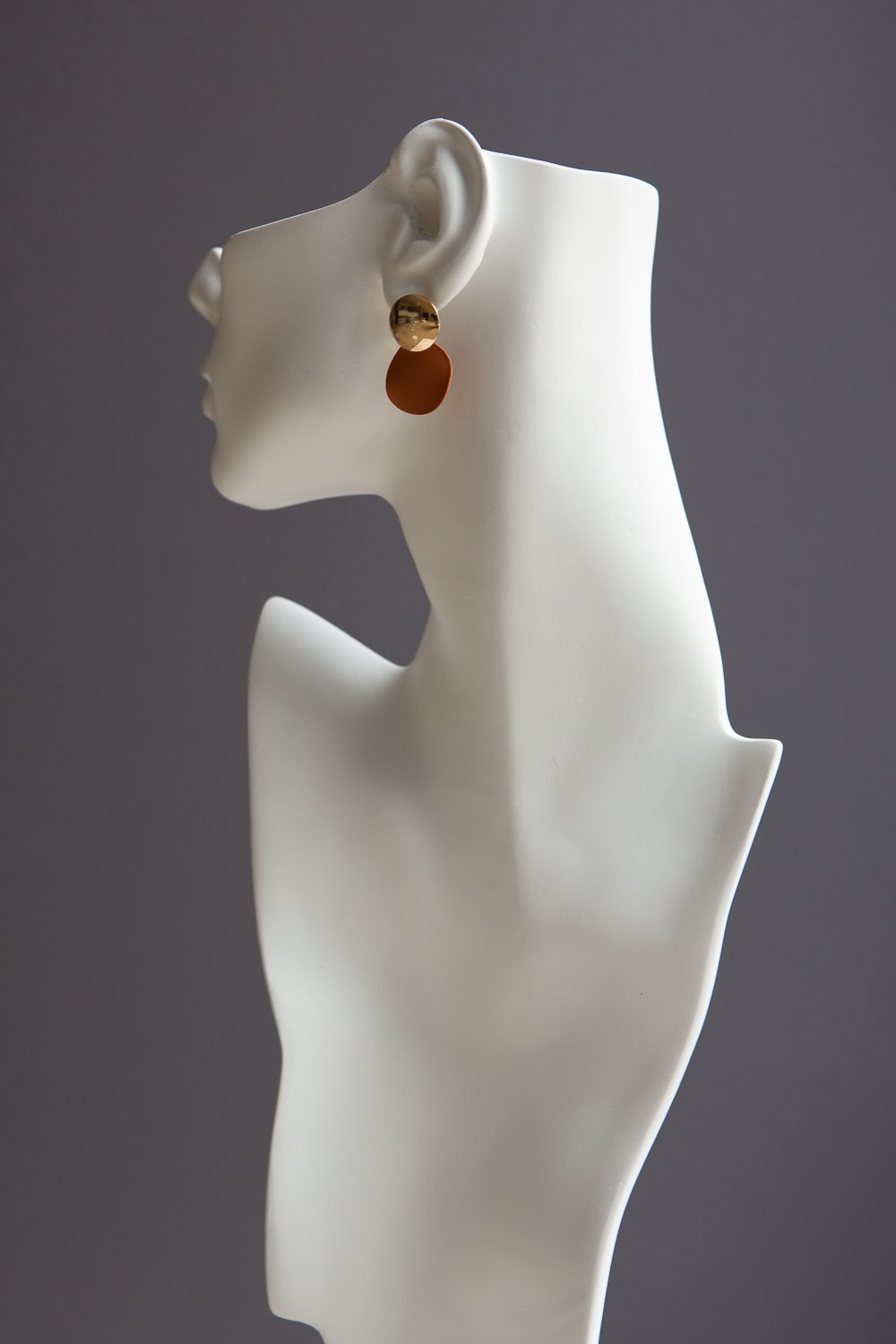 Brown and Gold Disc Earrings - Wynter Bloom
