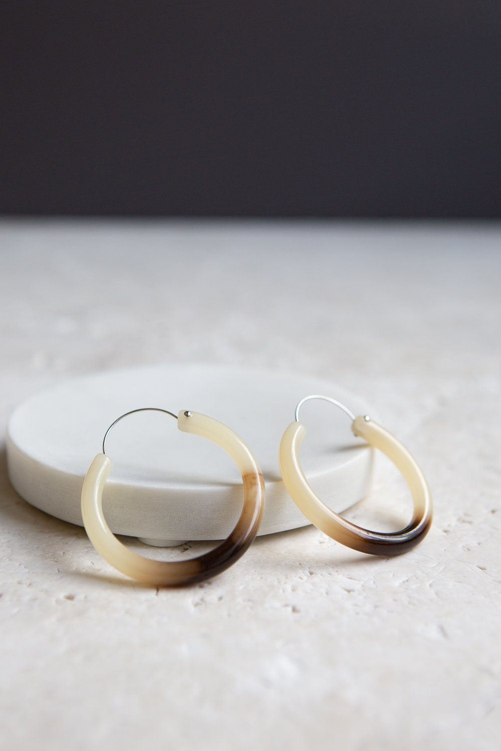 Coffee Tone Acrylic Hoop Earrings - Wynter Bloom
