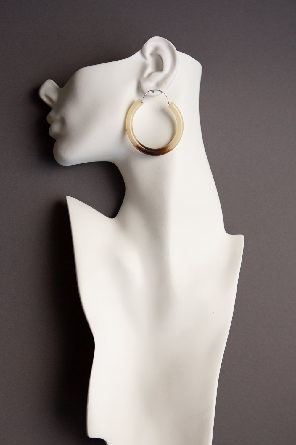 Coffee Tone Acrylic Hoop Earrings - Wynter Bloom