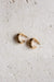 Open C Shell Gold Hoop Earrings - Wynter Bloom