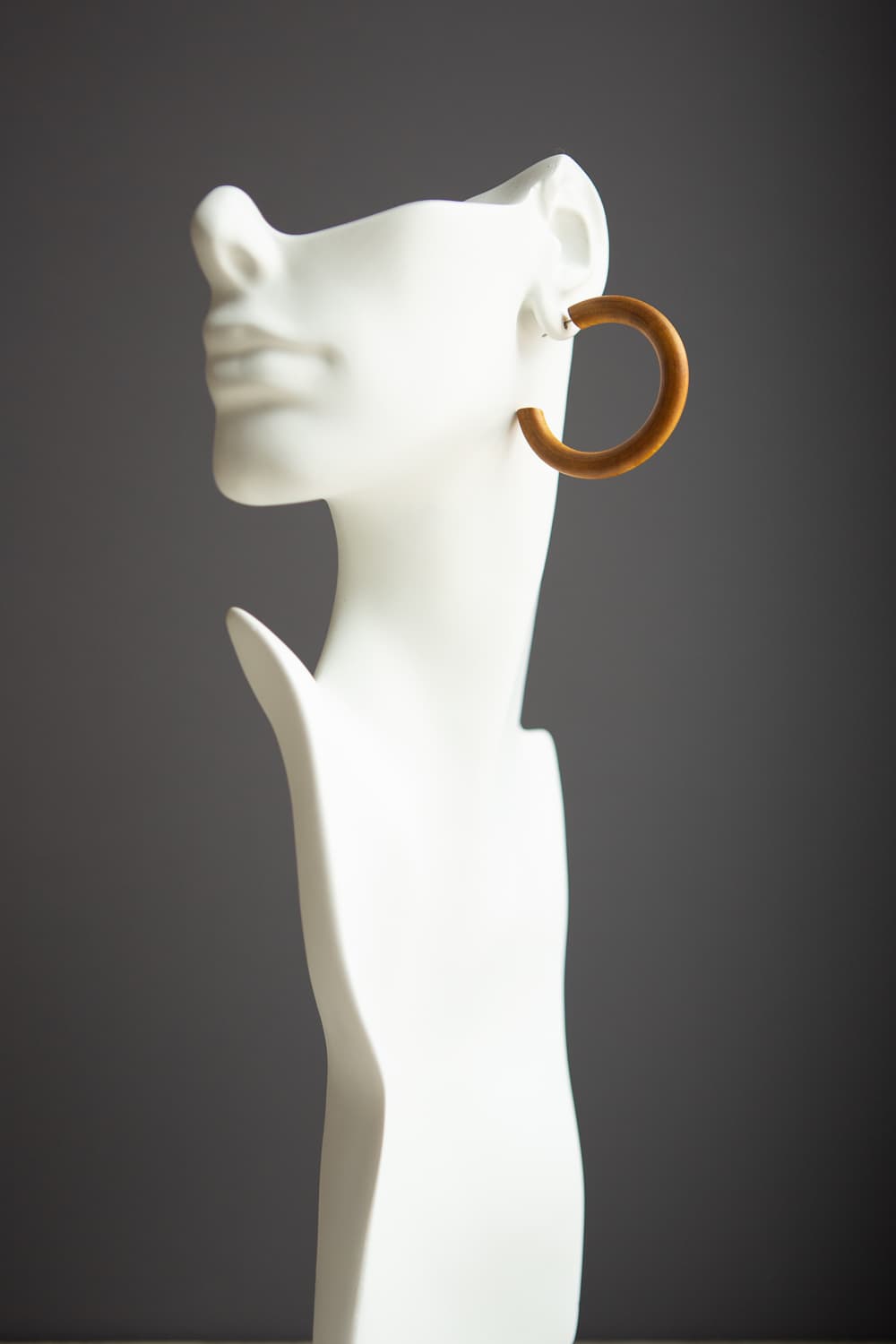 Brown Stained Wood Hoop Earrings - Wynter Bloom