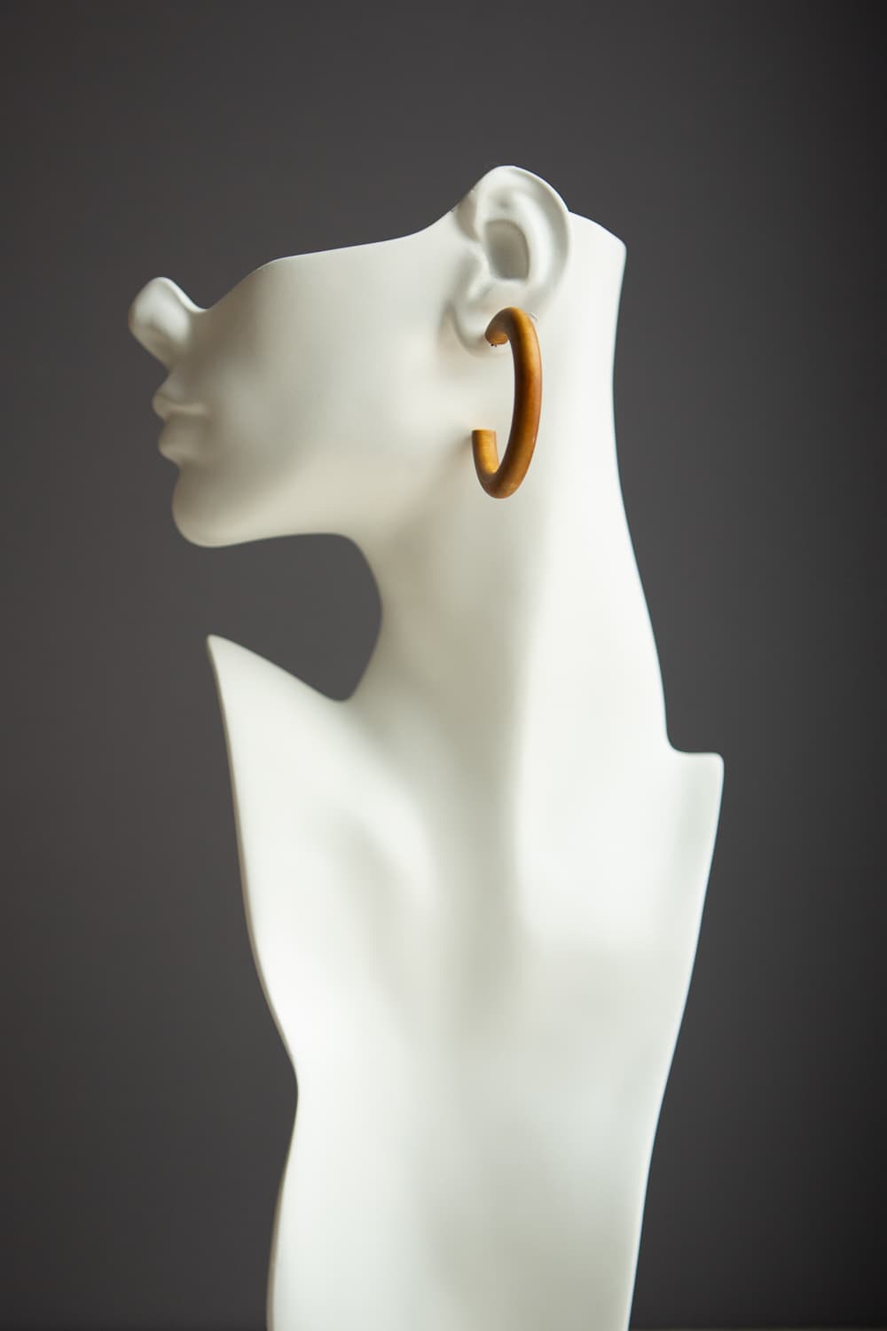 Brown Stained Wood Hoop Earrings - Wynter Bloom