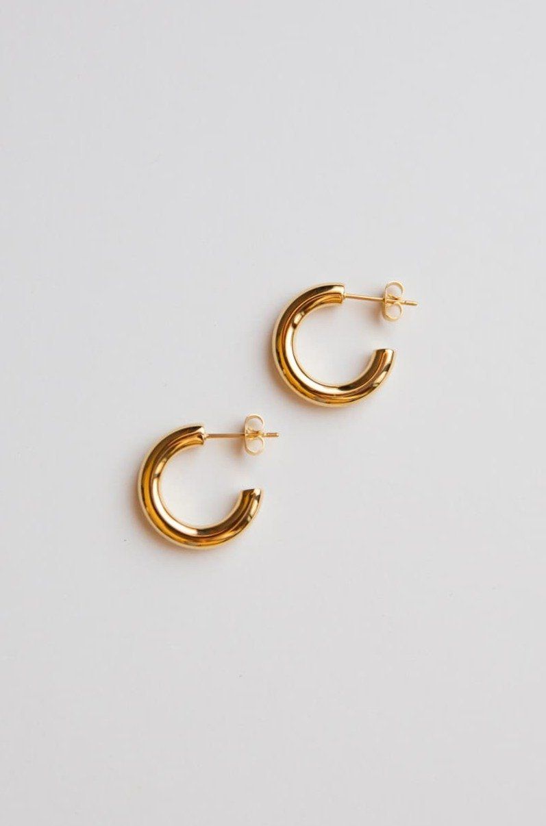 Gold Mini Thick Hoop Earrings - Wynter Bloom
