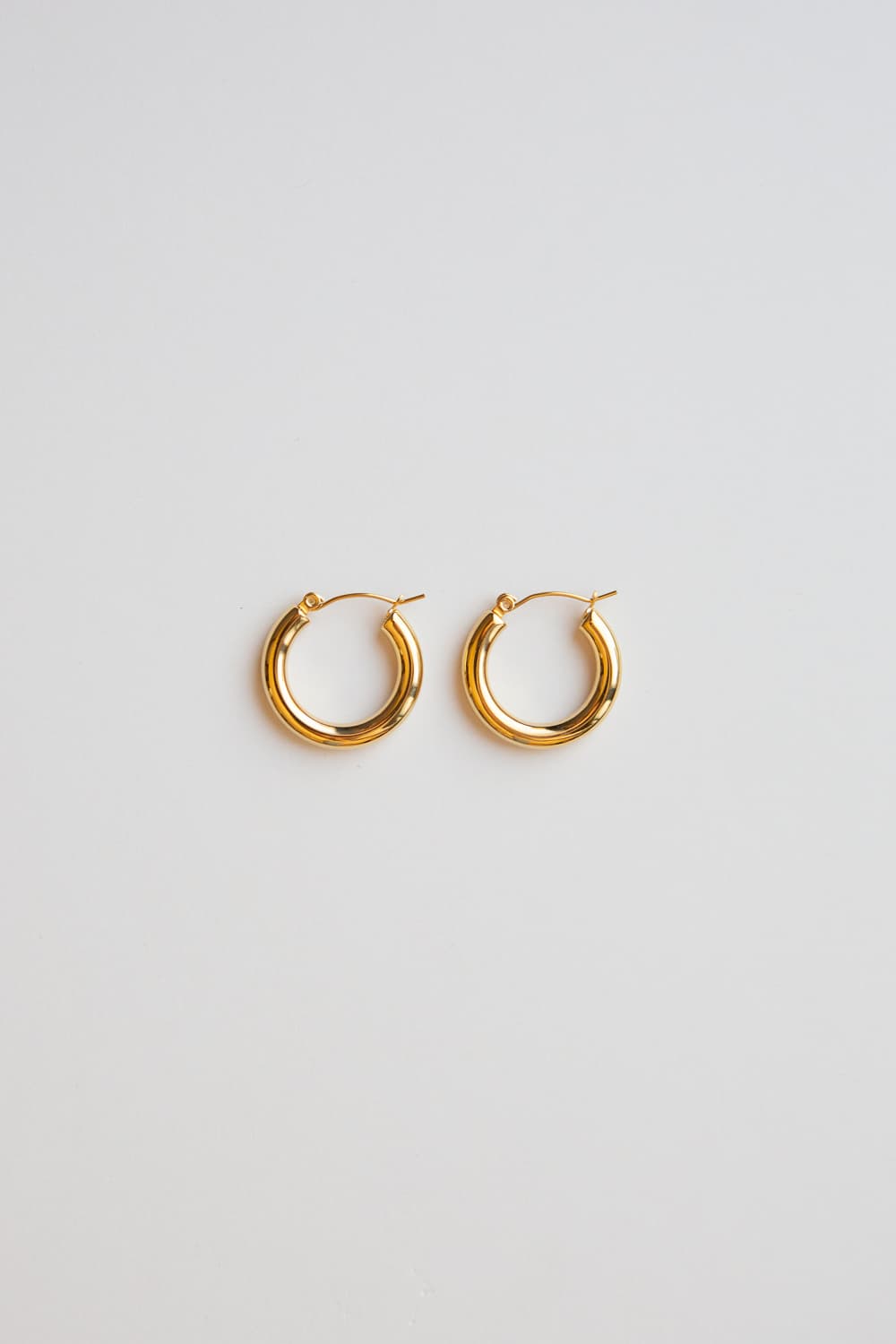 Gold Small Thick Hoop Earrings - Wynter Bloom