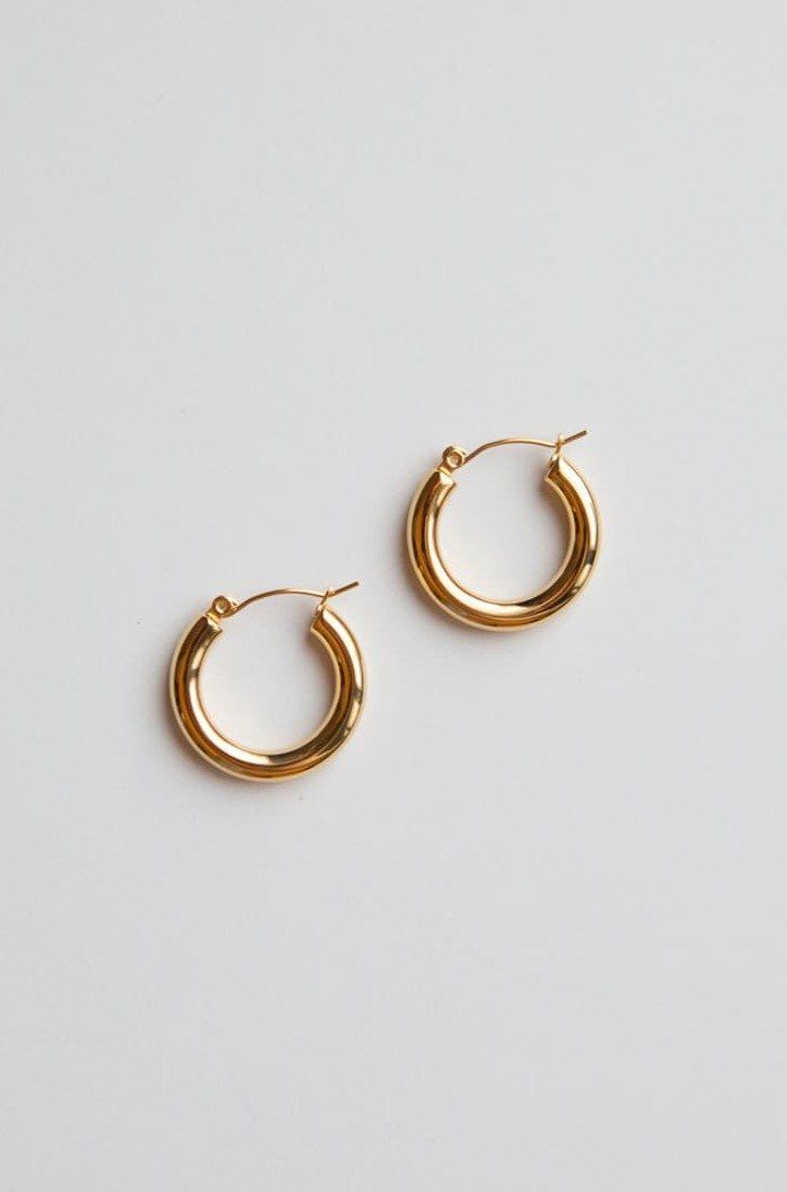 Gold Small Thick Hoop Earrings - Wynter Bloom