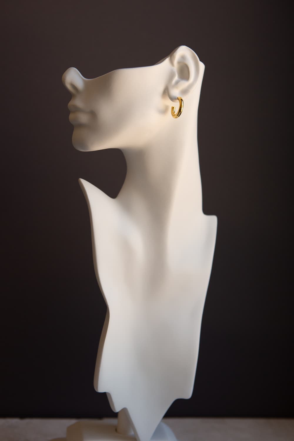 Gold Mini Thick Hoop Earrings - Wynter Bloom