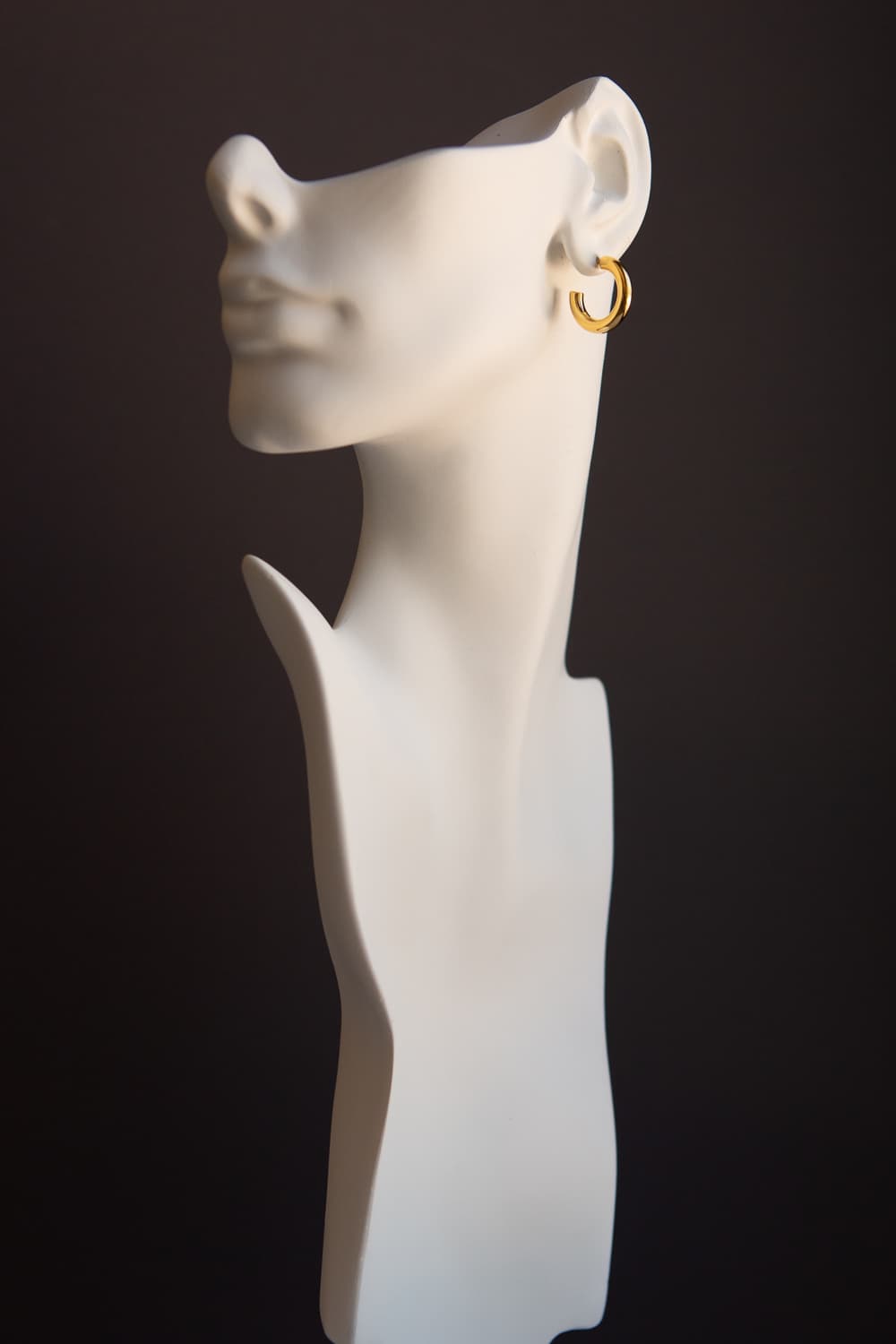Gold Mini Thick Hoop Earrings - Wynter Bloom