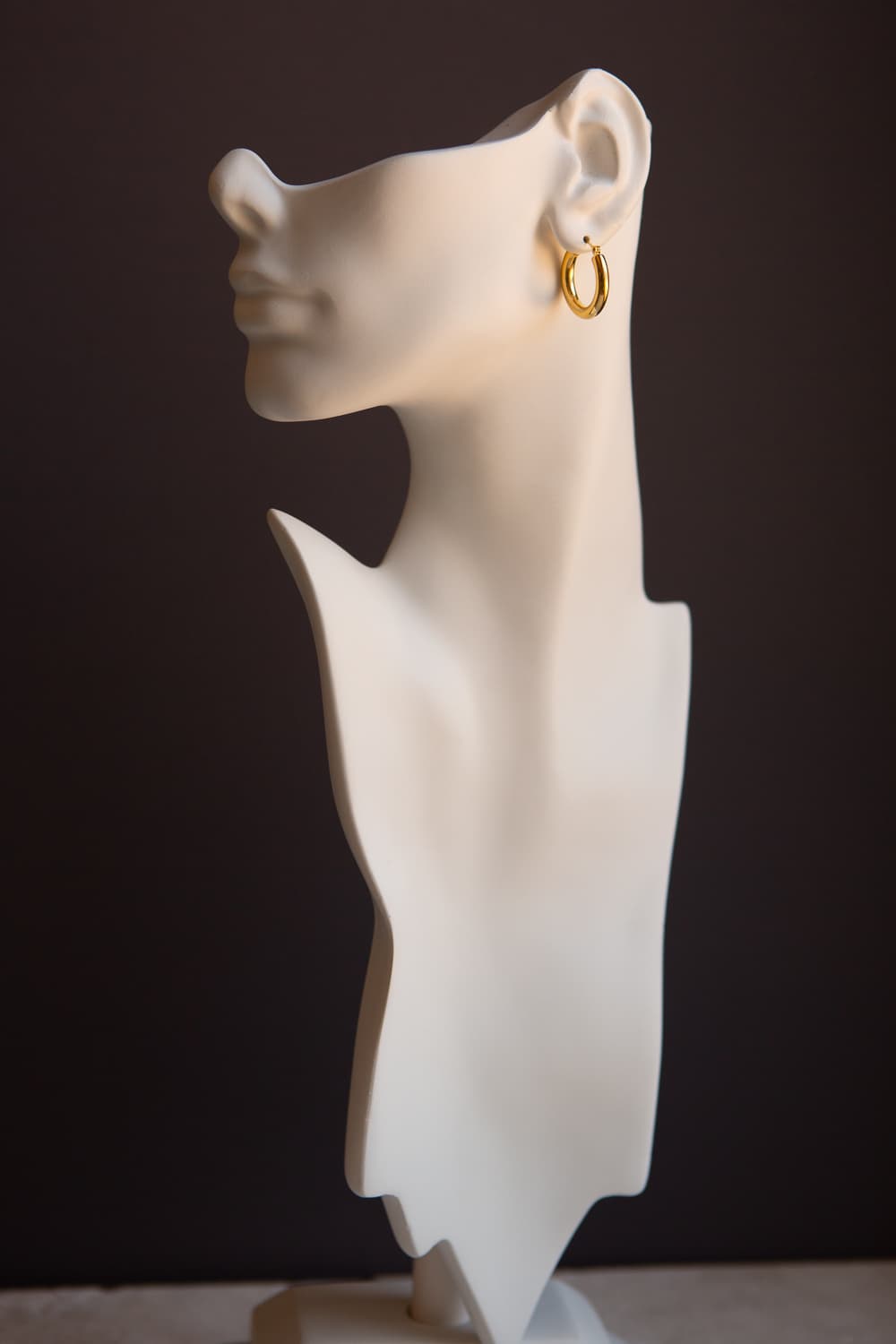 Gold Small Thick Hoop Earrings - Wynter Bloom