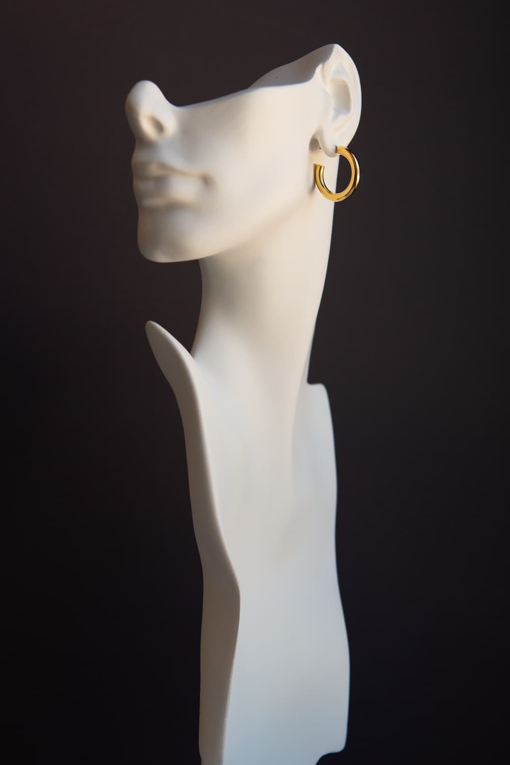 Gold Medium Thick Hoop Earrings - Wynter Bloom