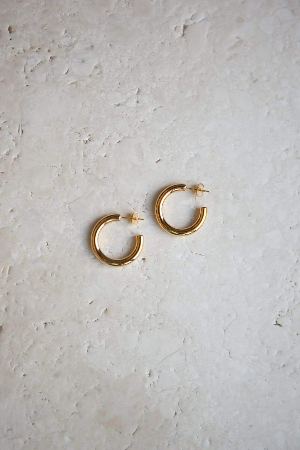 Gold Mini Thick Hoop Earrings - Wynter Bloom