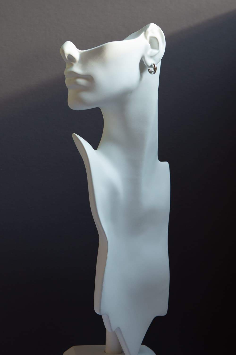 Small Silver Chubby Hoops