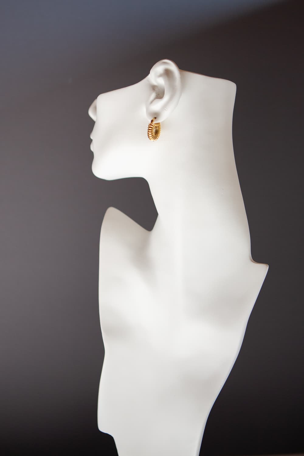 Small Gold Ribbed Vacuum Hoops